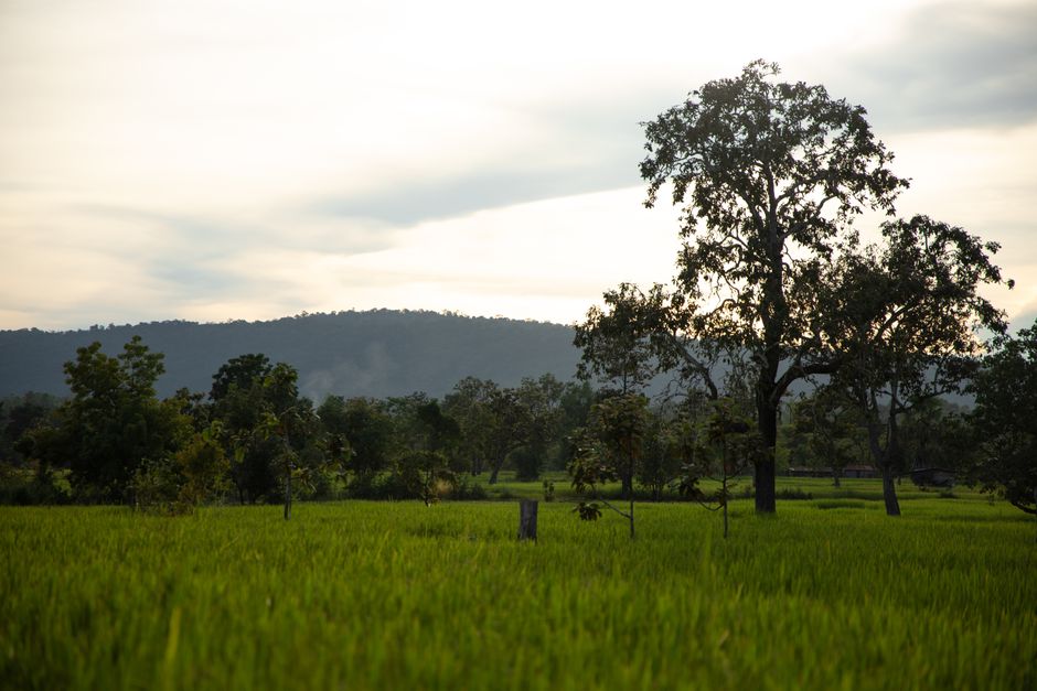 Phonsavan, Laos