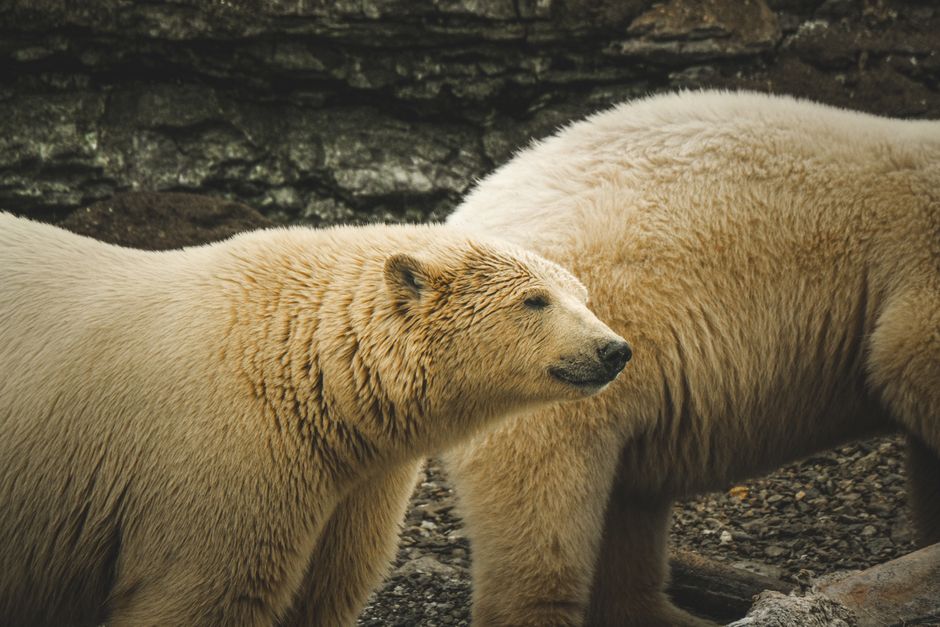Churchill, Manitoba, Canada