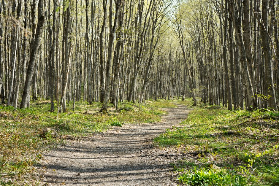 Mont Saint-Hilaire, Quebec, Canada