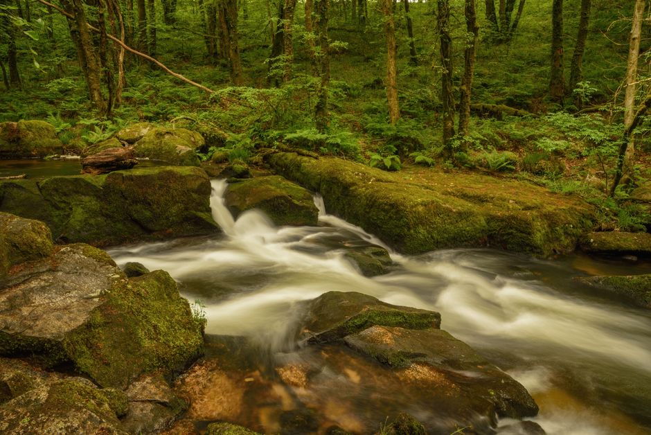Caledon, Ontario, Canada