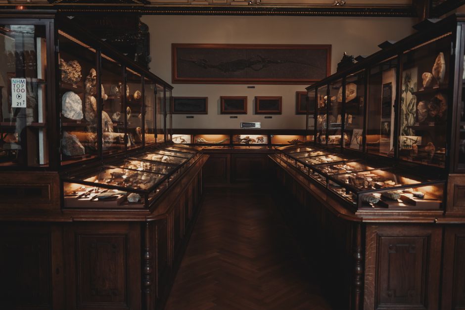 Lapworth Museum of Geology, Birmingham, UK