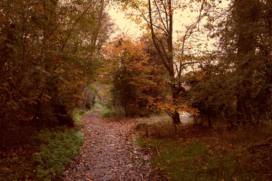Harborne Walkway, Birmingham, UK