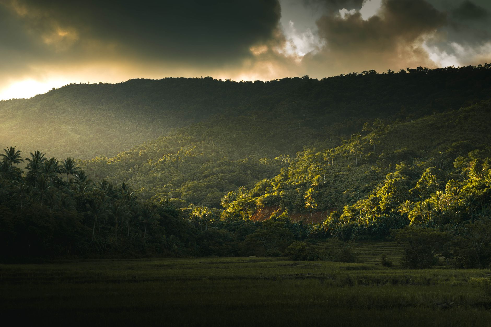 Sweeping view of a pristine, undeveloped Philippine island with turquoise waters, lush green hills, and a clear sky, suggesting untouched natural beauty.