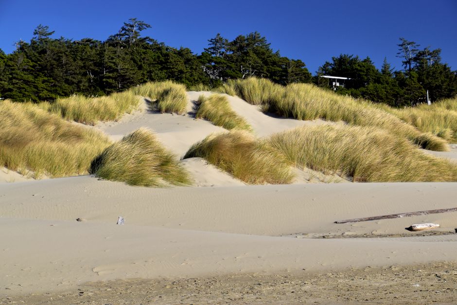 Oregon Dunes National Recreation Area, USA