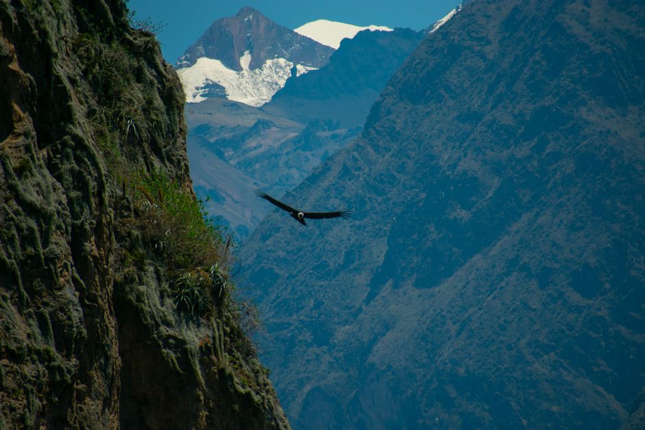 Colca Canyon, Peru