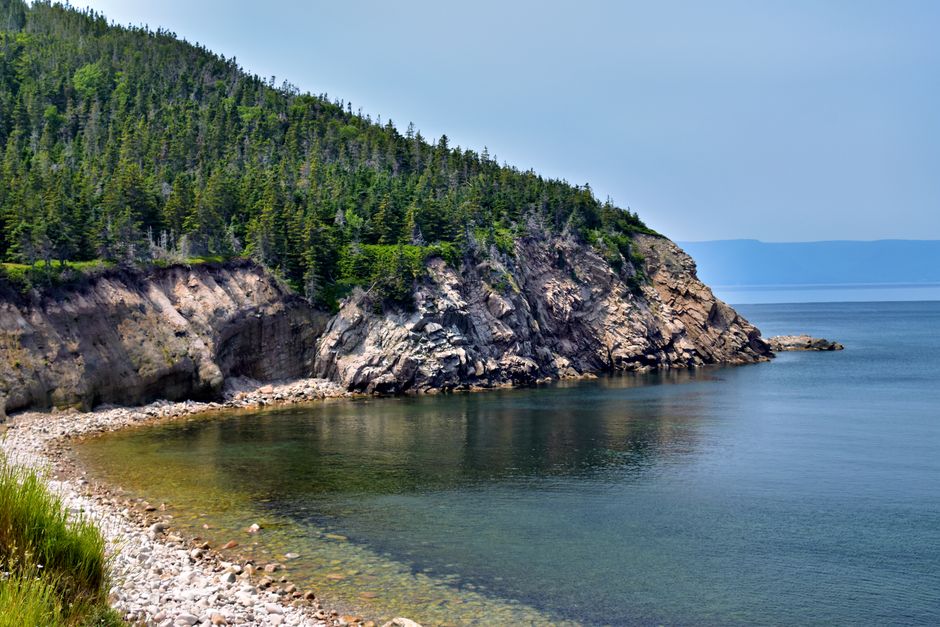 Joggins Fossil Cliffs, Nova Scotia, Canada