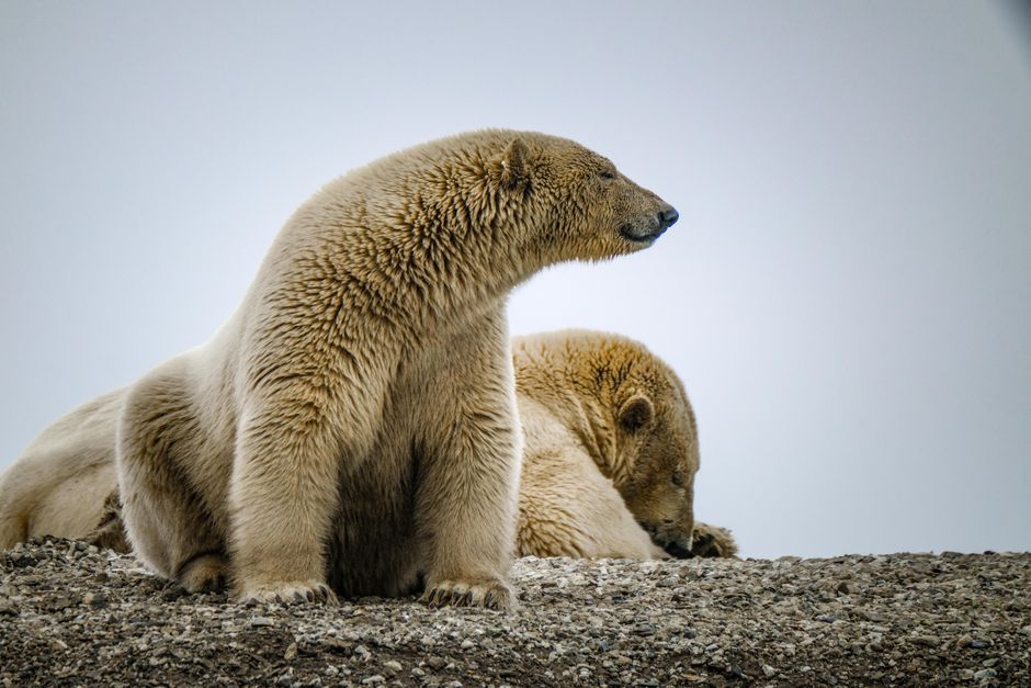 Churchill, Manitoba, Canada