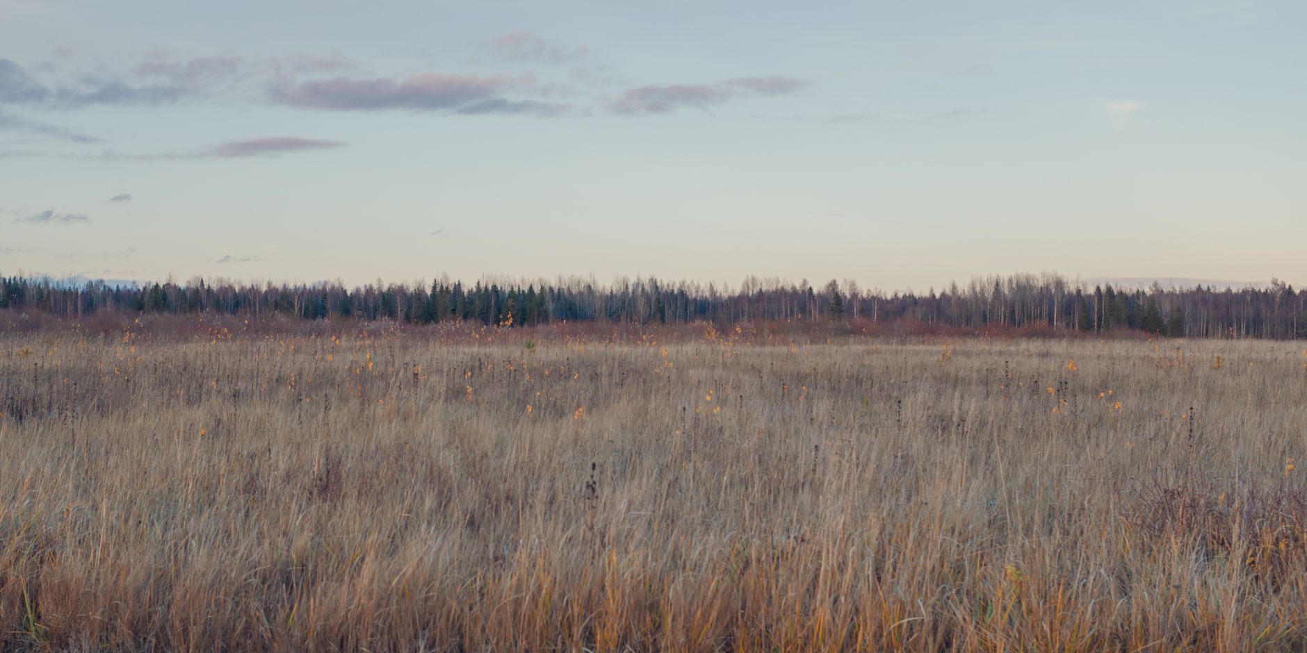 Near Belleville, Ontario, Canada