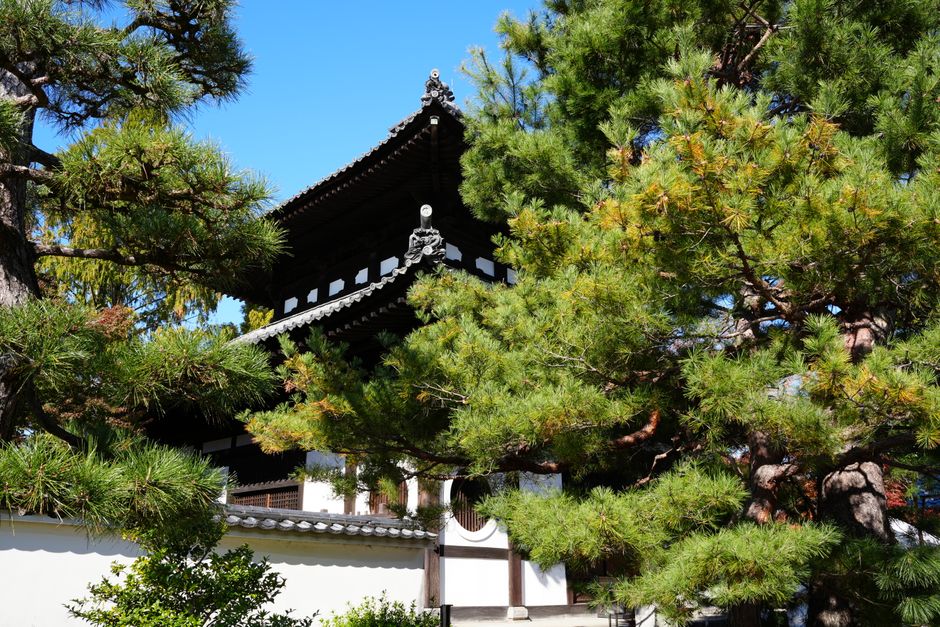 Nara, Japan