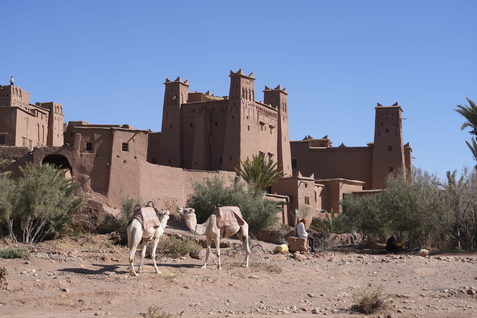 Skoura Oasis, Morocco