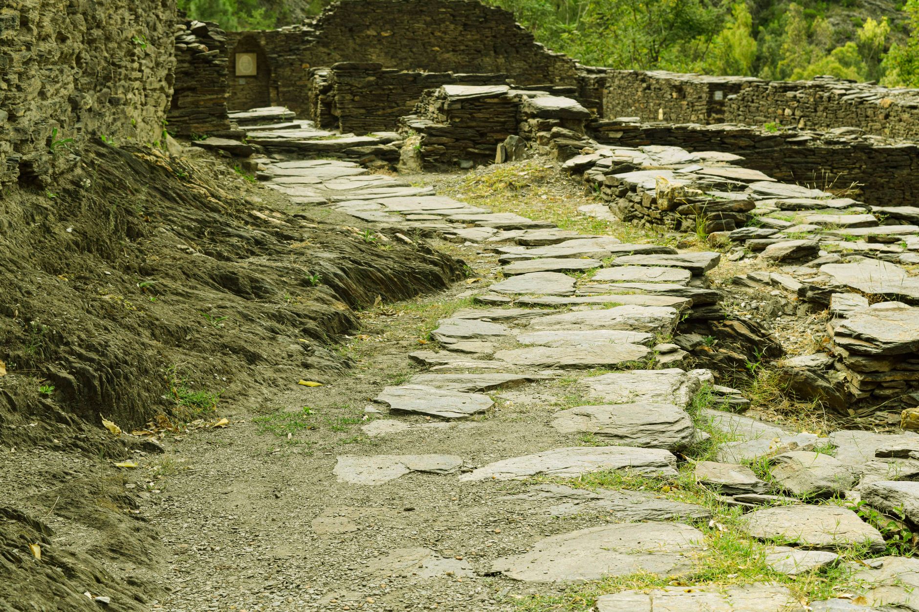 Why Might People Stop Traveling a Rarely Traveled Path? Uncover the Forgotten Wonders