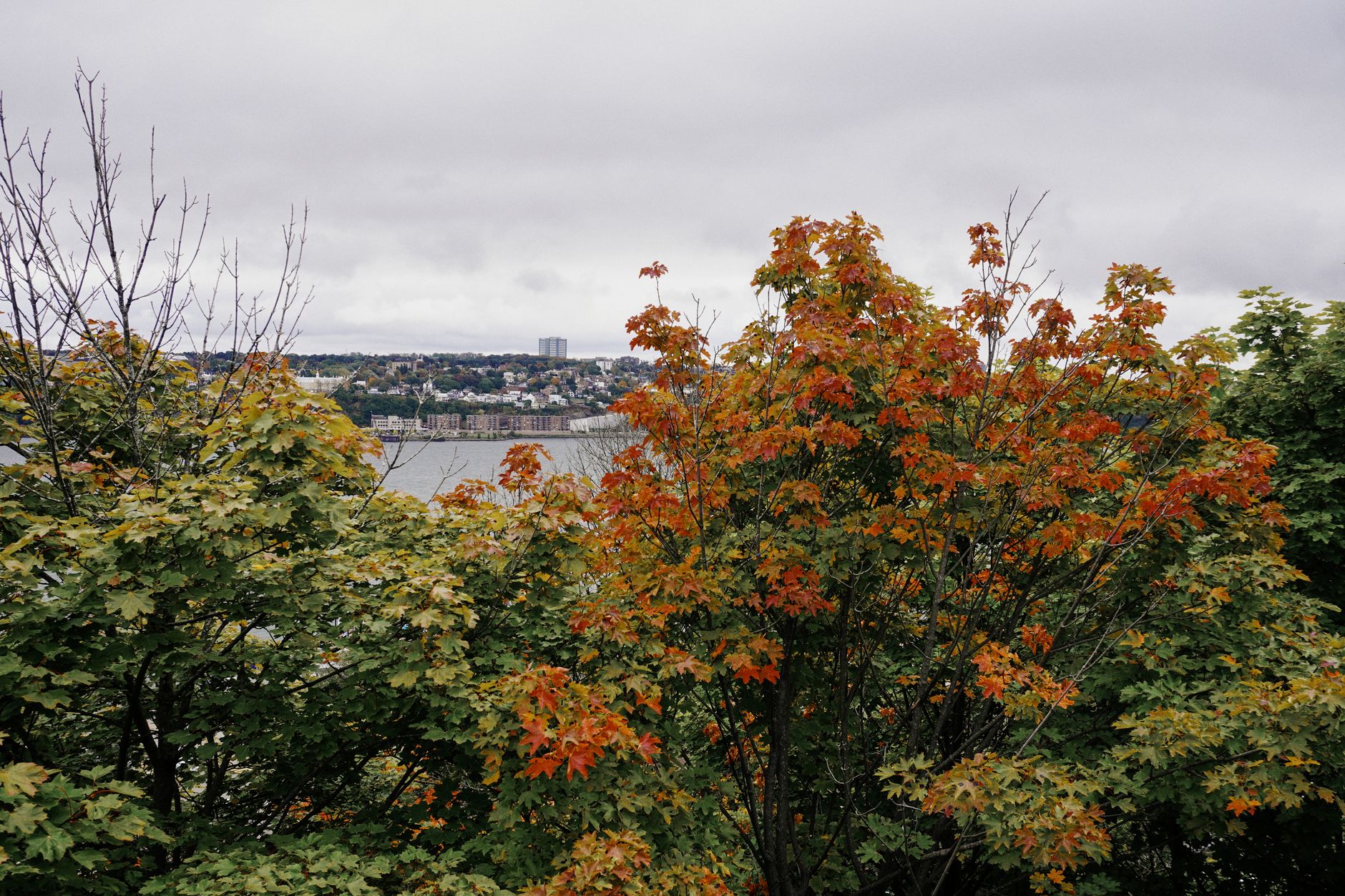 Why Quebecers Adjust Their French for France, But Not Vice Versa?