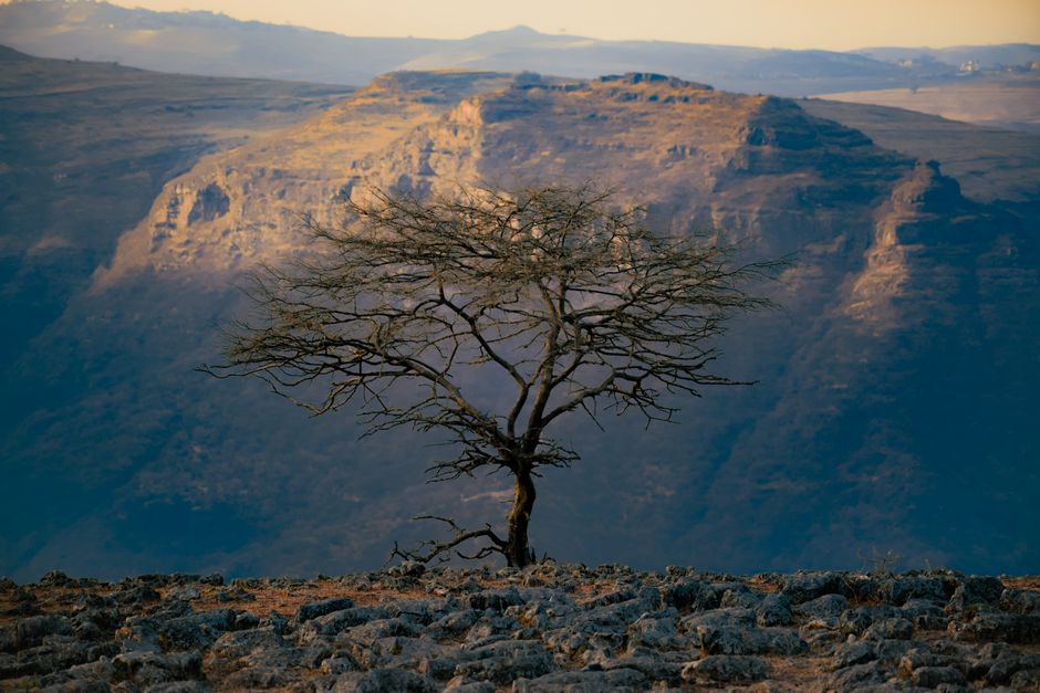 Simien Mountains, Ethiopia