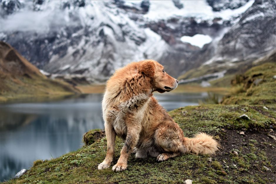 Cordillera Huayhuash, Peru