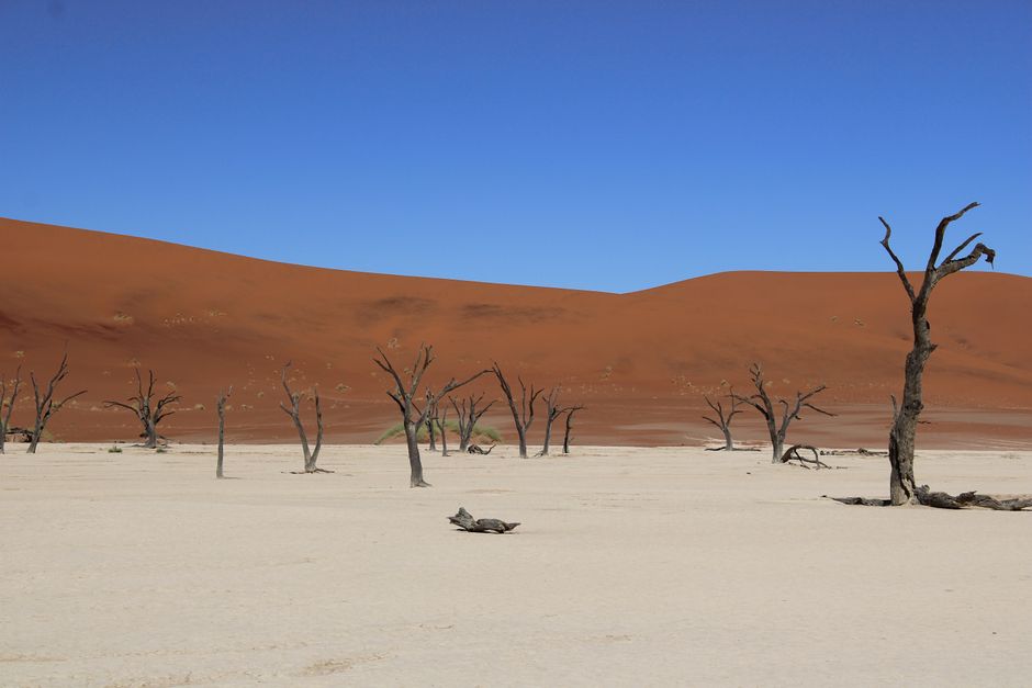 Deadvlei, Namibia