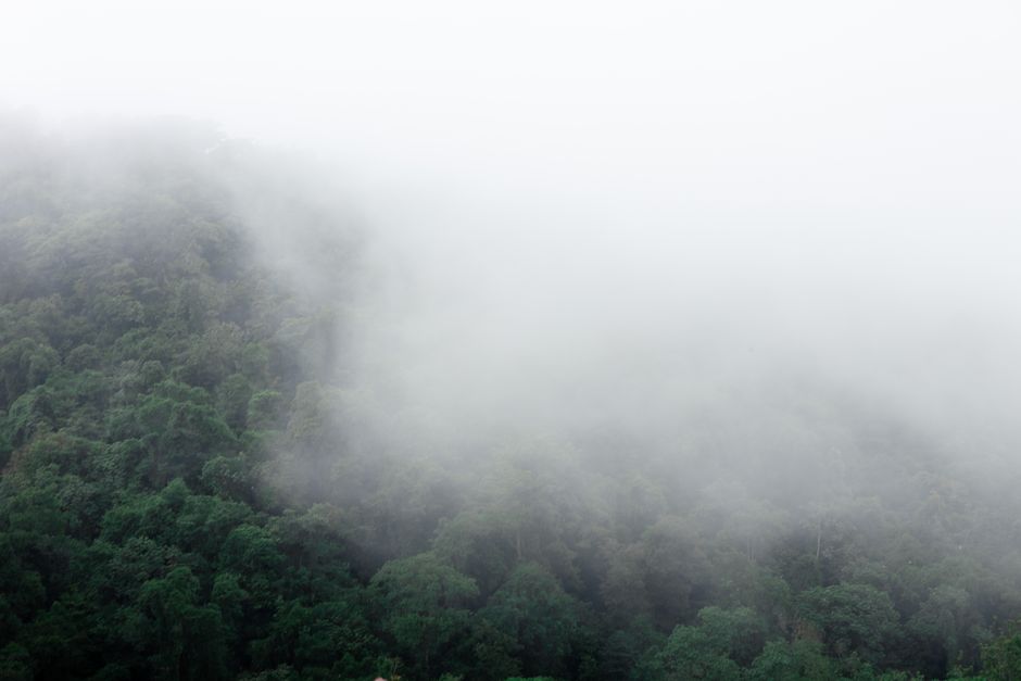 Pico da Neblina, Brazil