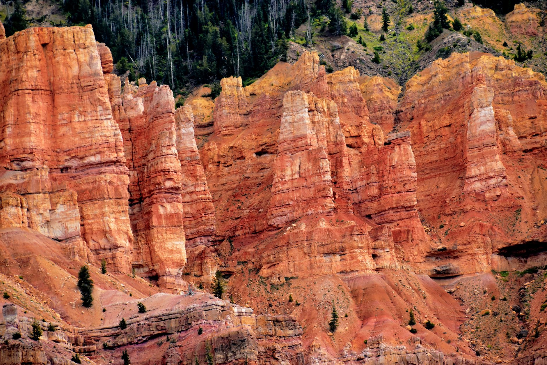 Sweeping panorama of diverse American landscapes, showing a mix of mountains, deserts, and coastal areas, hinting at varied travel experiences.