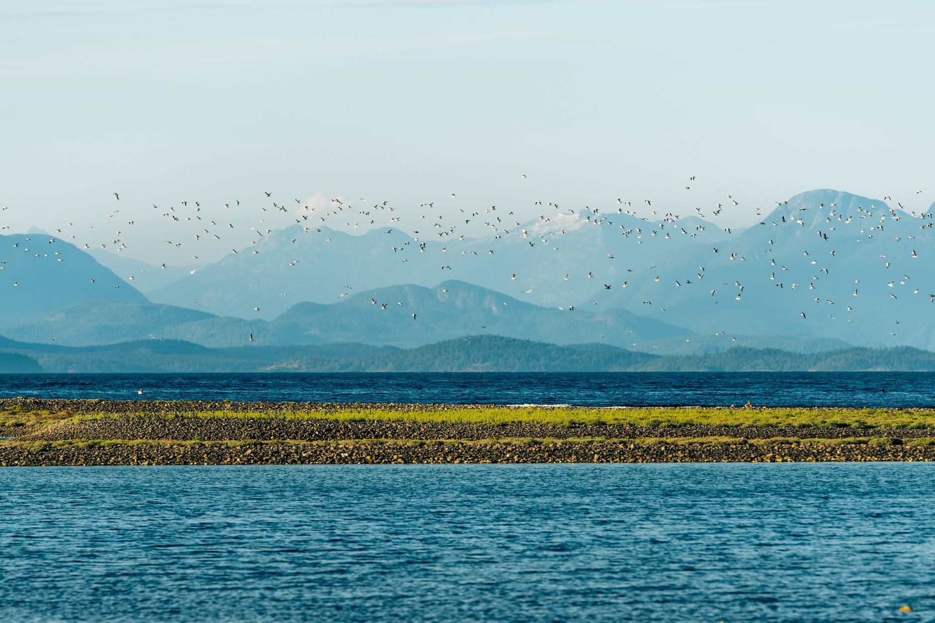 Why Vancouver Has a Milder Climate: Secrets of a Coastal City