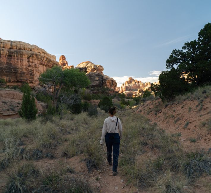 Canyonlands National Park (Needles District), USA