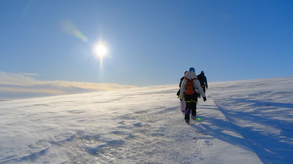 Svínafellsjökull Glacier, Iceland