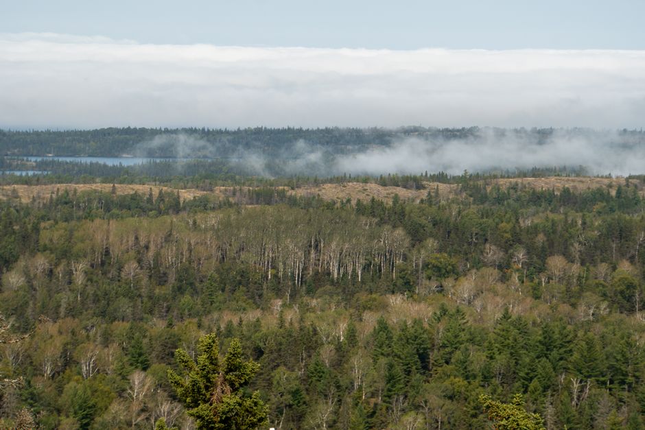 Isle Royale National Park, Michigan, USA