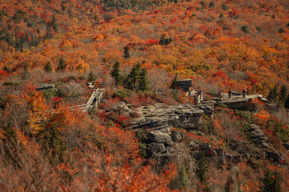 Great Smoky Mountains National Park, USA (Appalachian Trail)