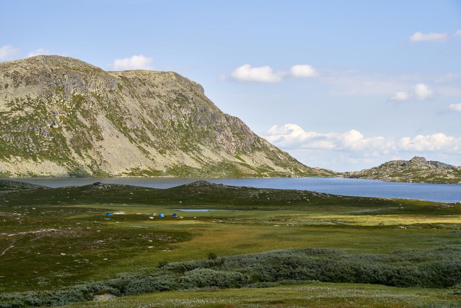 Hornstrandir Nature Reserve, Iceland