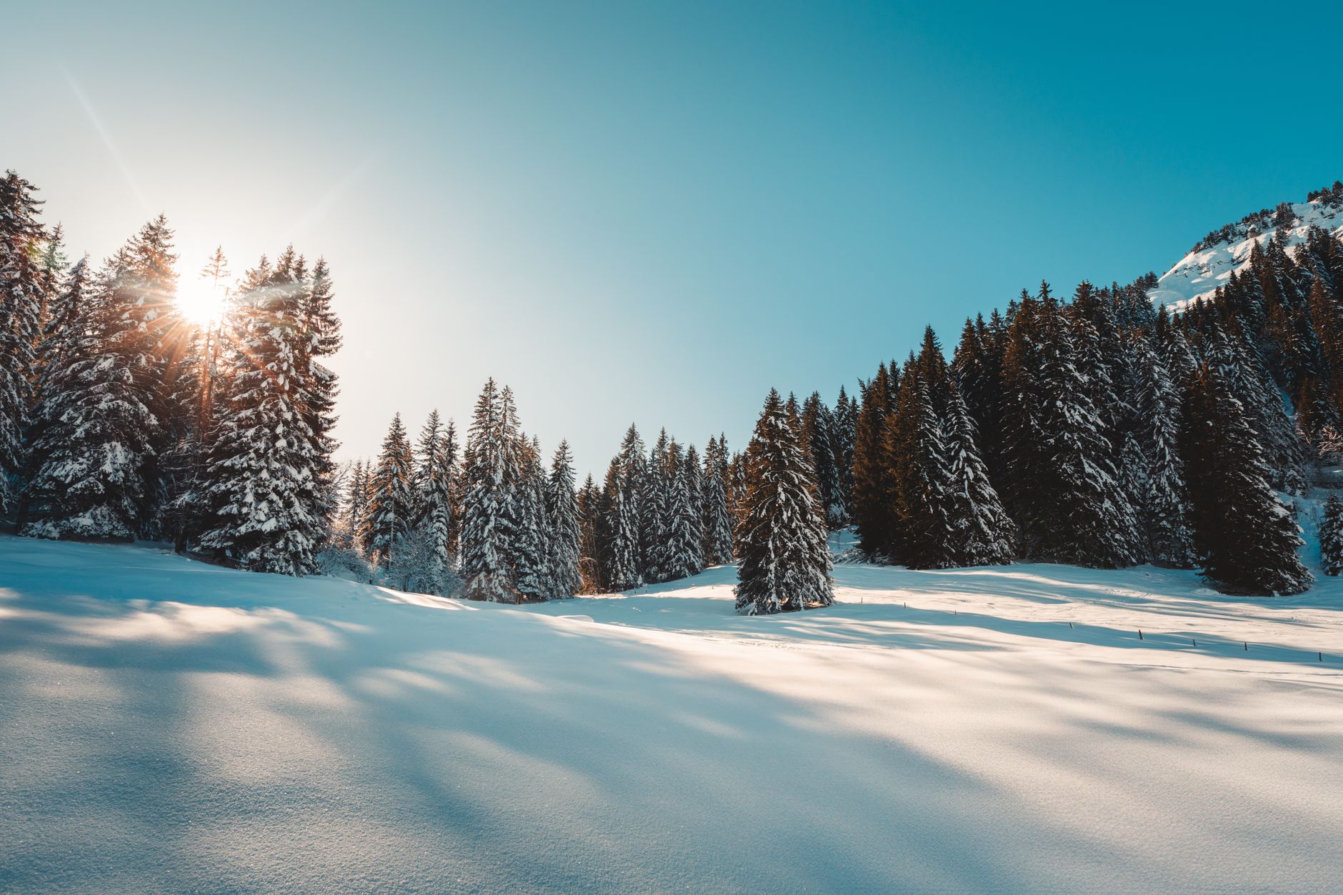 A split image showing a snow-covered mountain landscape on one side and a lush, sun-drenched tropical beach on the other, representing cold and hot climates.