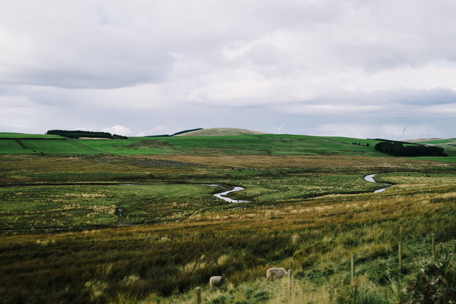 A sweeping landscape view showcasing both the rugged beauty of a British coastline and the vast, serene expanse of a Russian forest under a dramatic sky, with a hint of ancient structures.