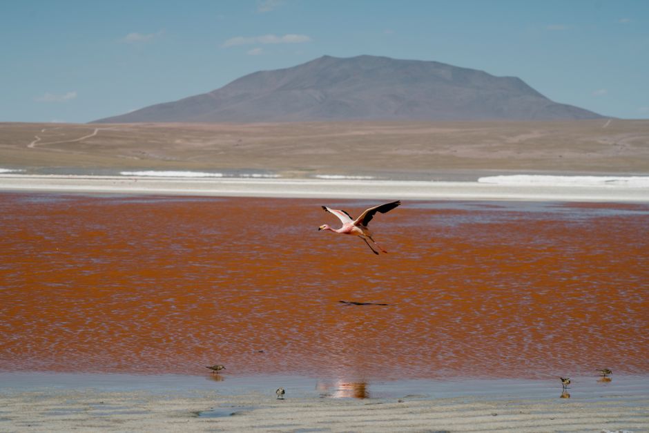 Lake Natron, Tanzania