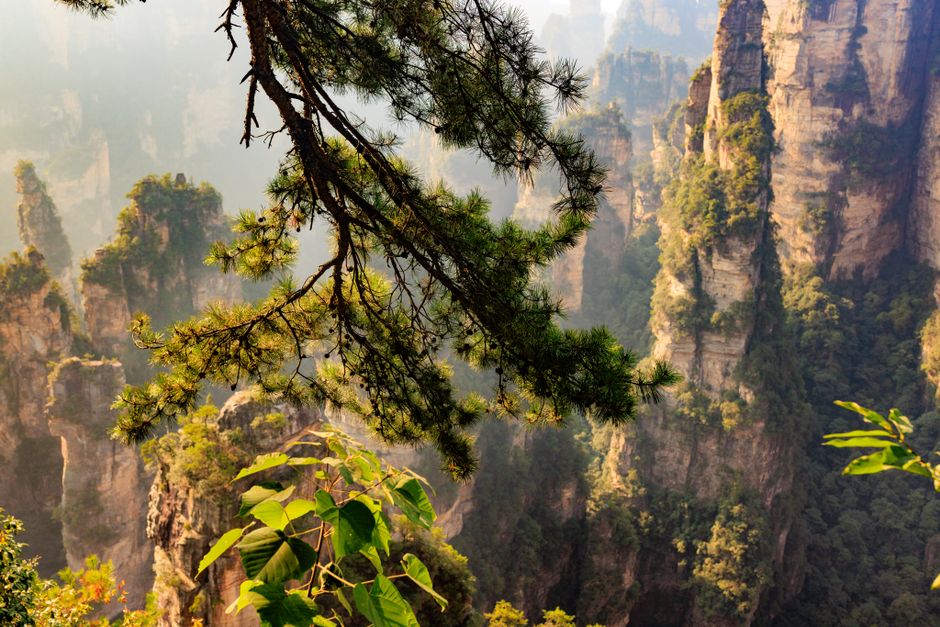 Tianzi Mountain Scenic Area, Zhangjiajie, China