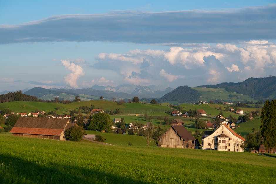 Vibrant painted facades of buildings lining a charming street in Appenzell Village, Switzerland, with alpine mountains in the background.