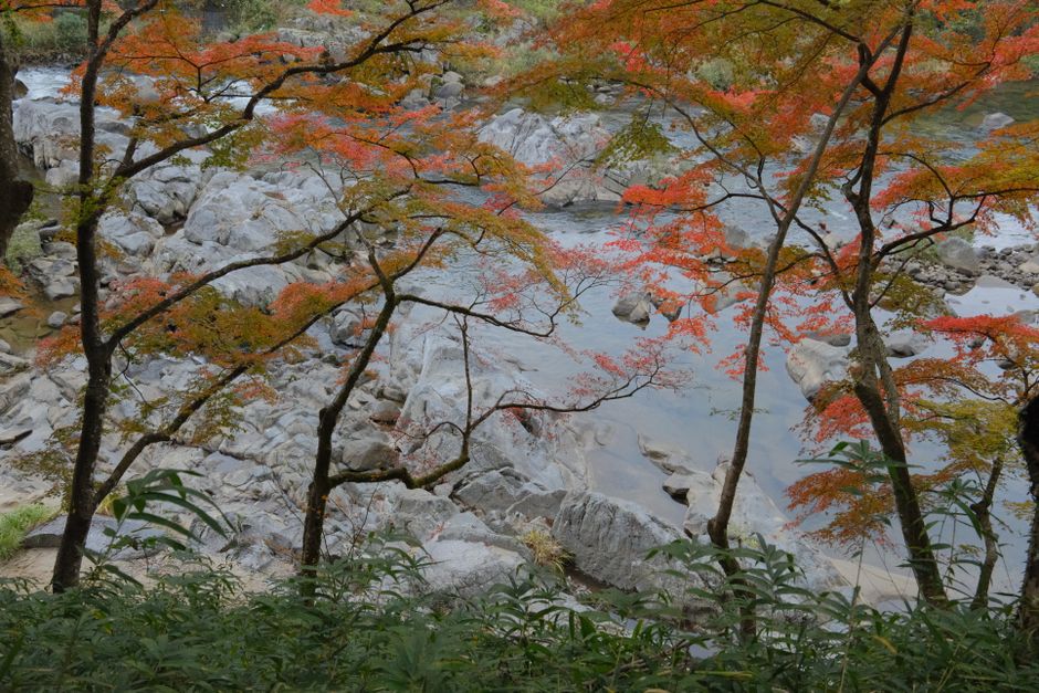 Aerial view of Takachiho Gorge with Manai Falls cascading into the Gokase River, surrounded by lush green basalt cliffs.