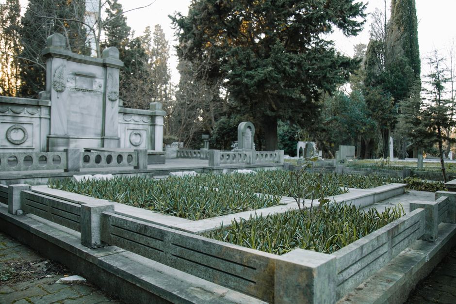 Overgrown gravestones with ivy and trees in the Old Jewish Section of Zentralfriedhof, Vienna, showing a path winding through the natural landscape.
